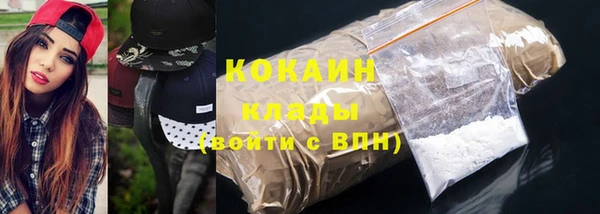 шишки Михайлов