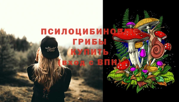 шишки Михайлов