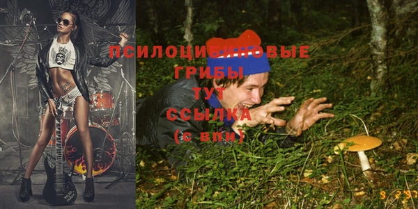 кокс Михайловск