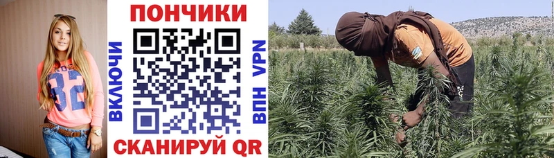 МАРИХУАНА Amnesia  Поронайск 